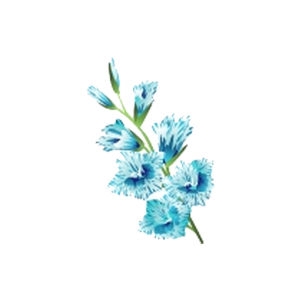 Blue Gladiolus Feeder